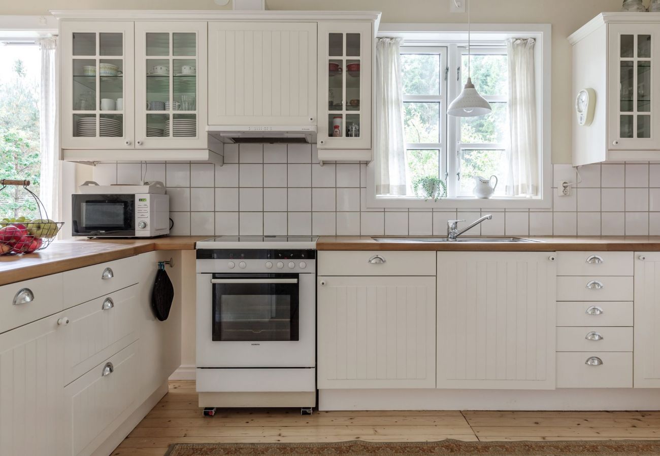 Ferienhaus in Rydaholm - SE07001