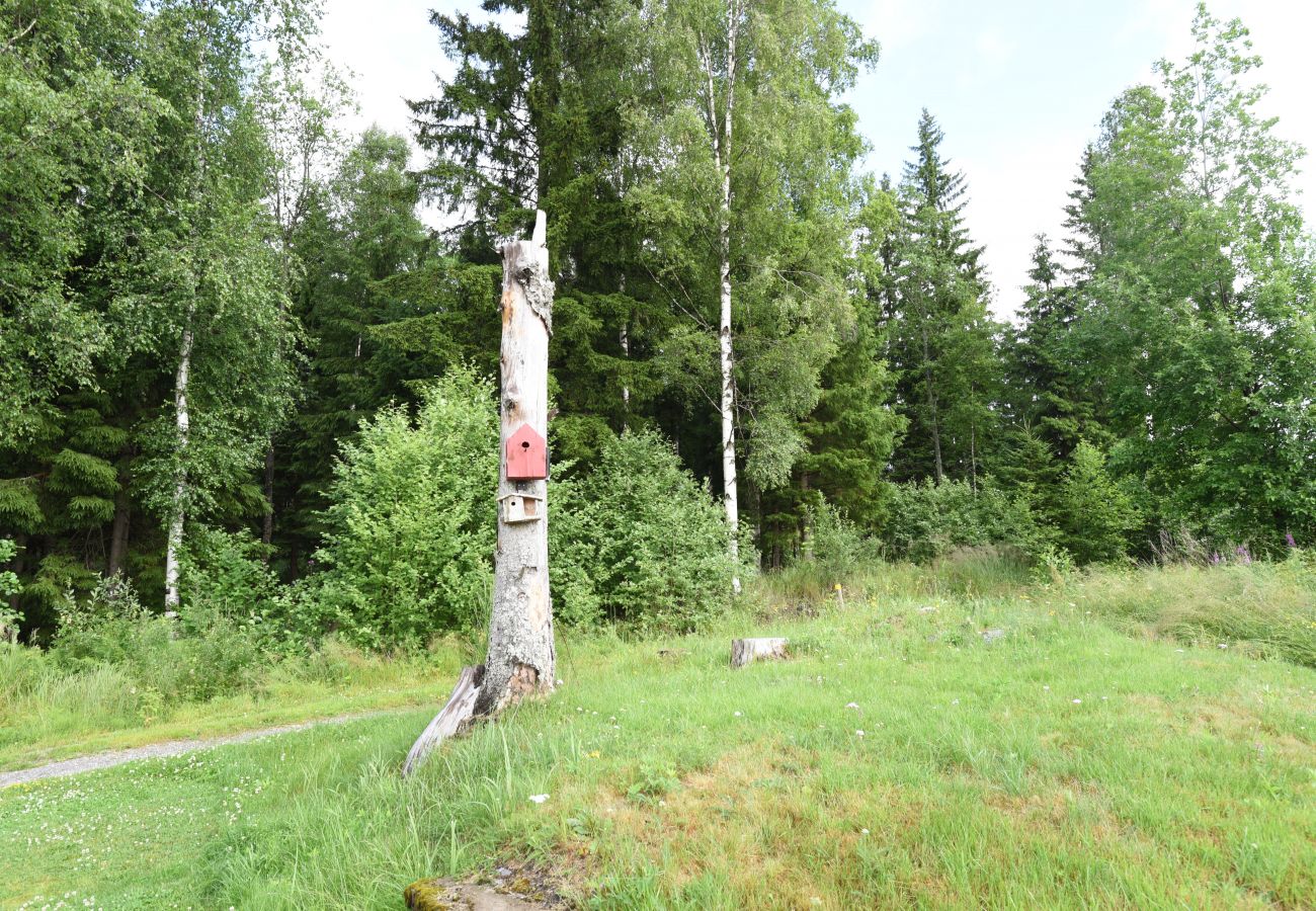 Ferienhaus in Arvika - SE18012