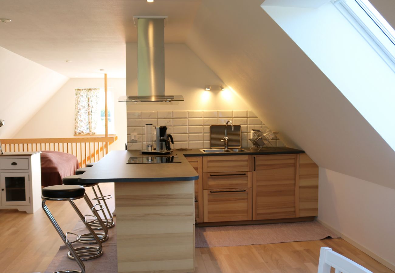 Studio in Abbekås - SE01024