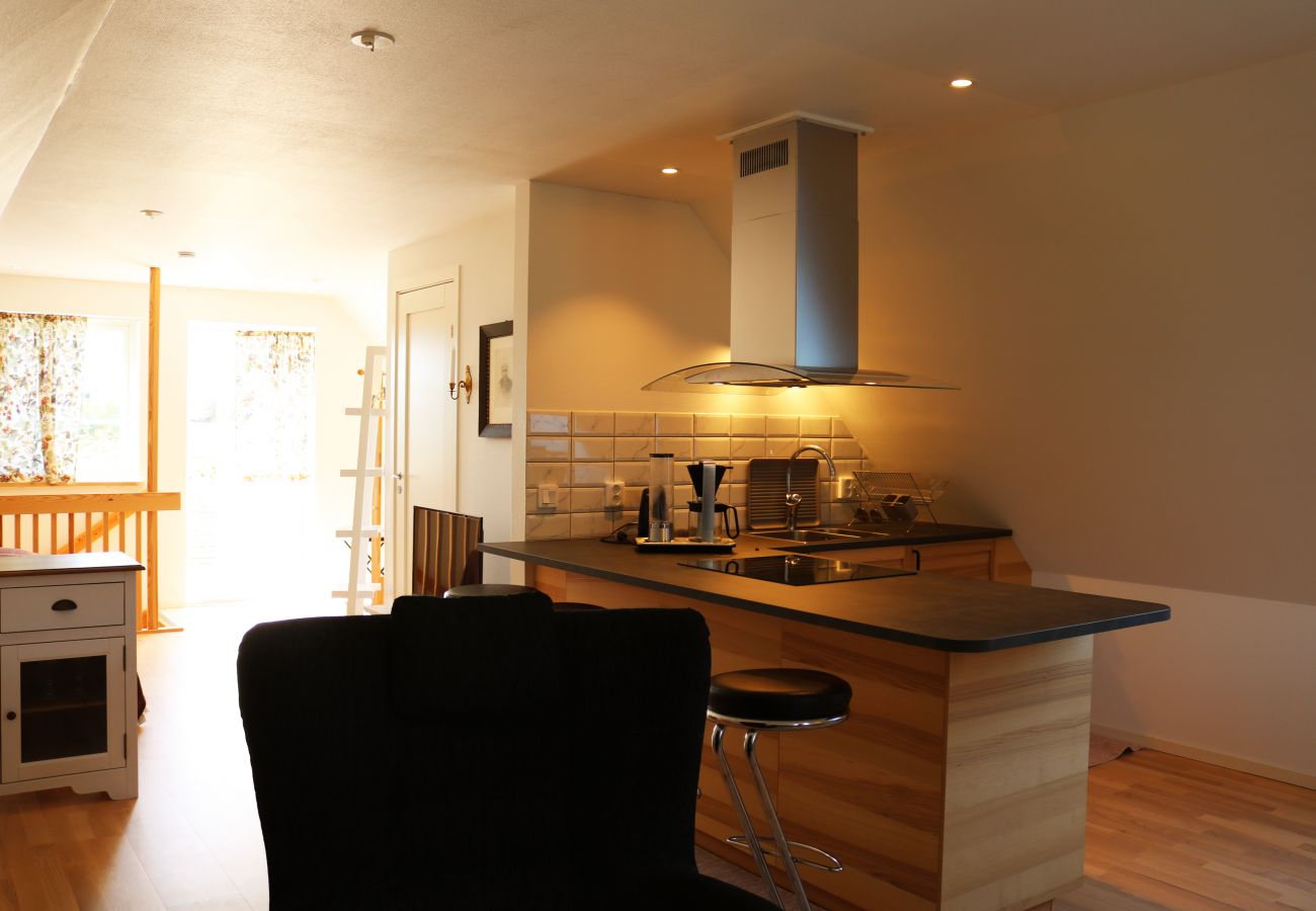 Studio in Abbekås - SE01024