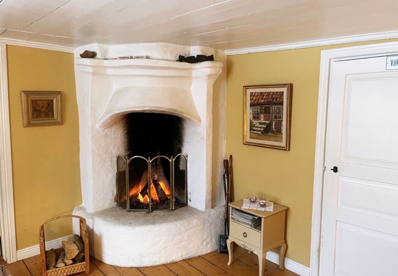 Ferienhaus in Ljungby - SE06050