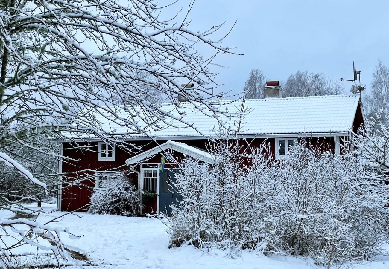 Ferienhaus in Ljungby - SE06050