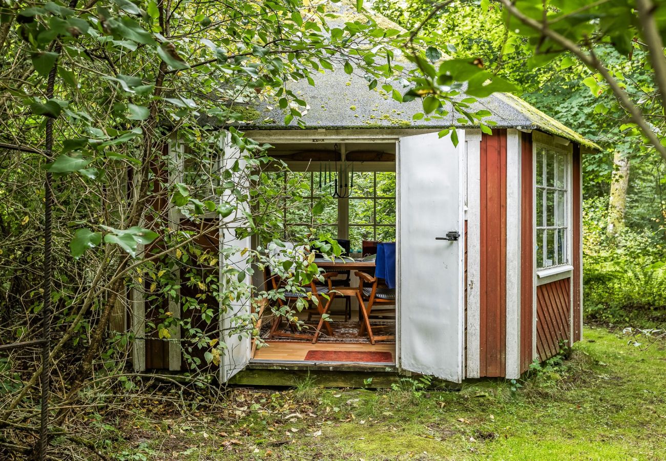 Ferienhaus in Ljungby - SE06050