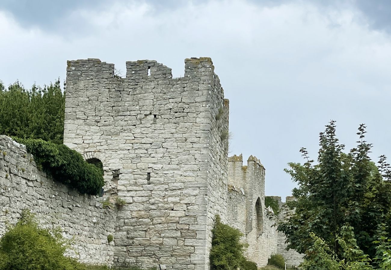 Ferienhaus in Lärbro - SE12014