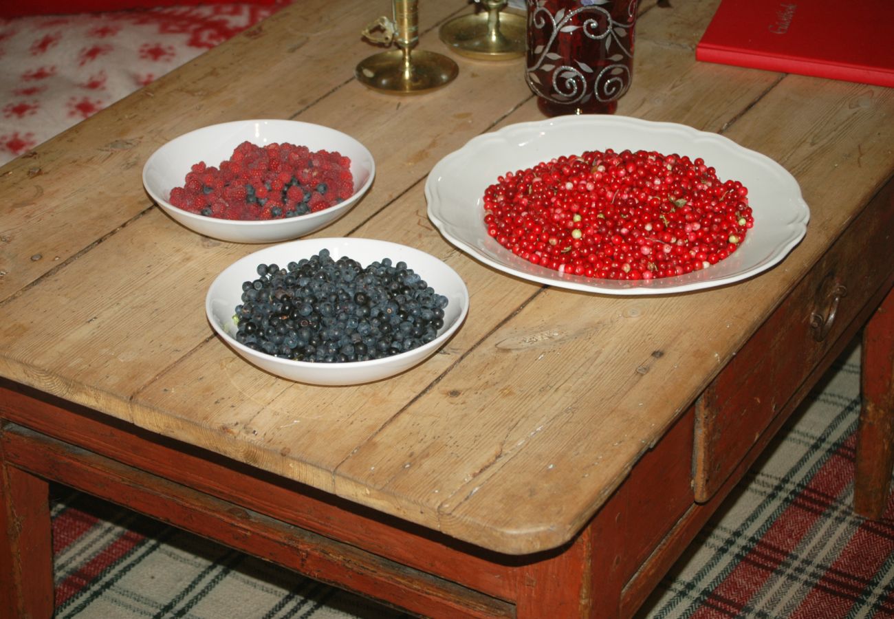 Ferienhaus in Mellerud - SE17011