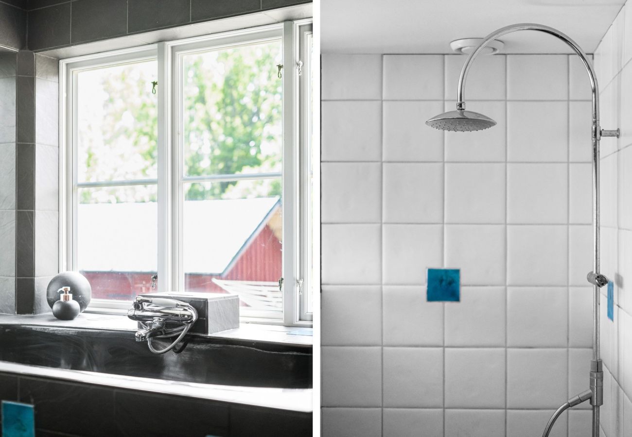 Ferienhaus in Mölnbo - SE13025