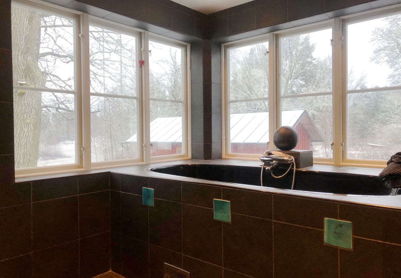 Ferienhaus in Mölnbo - SE13025