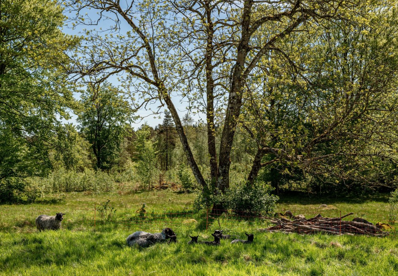 Ferienwohnung in Laholm - SE02057
