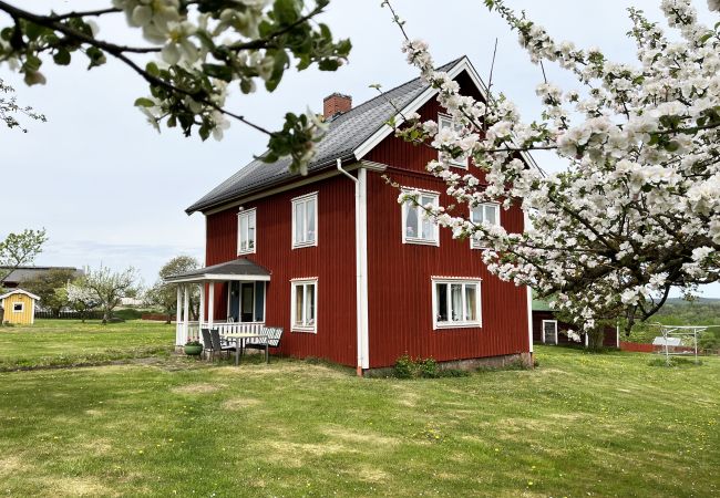 Ferienhaus in Gullringen - SE05038