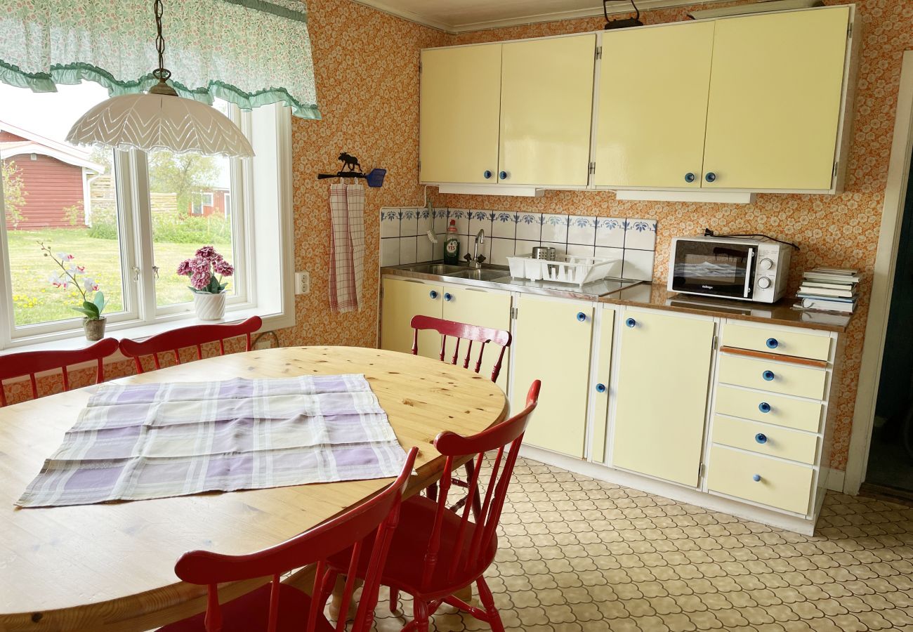 Ferienhaus in Gullringen - SE05038