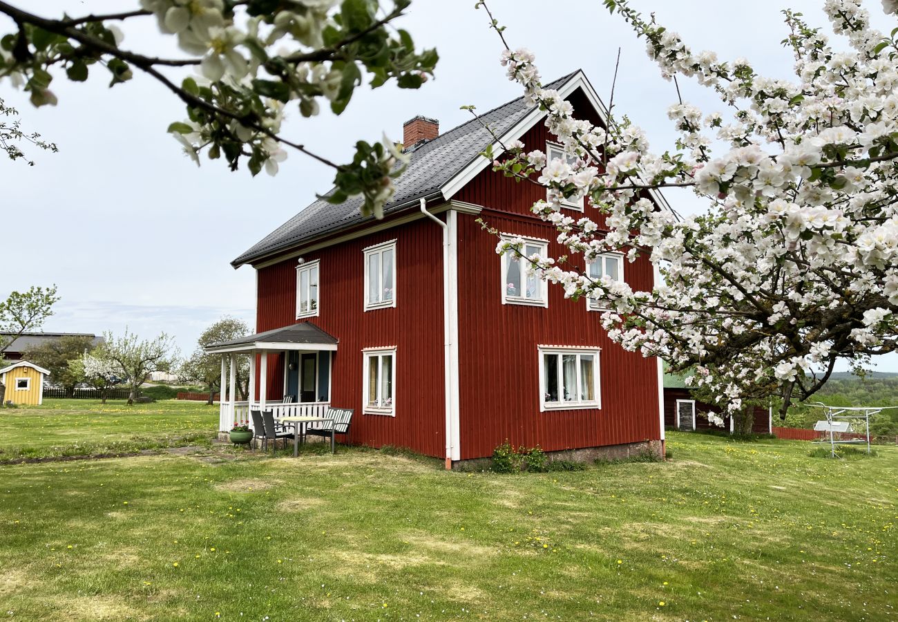 Ferienhaus in Gullringen - SE05038