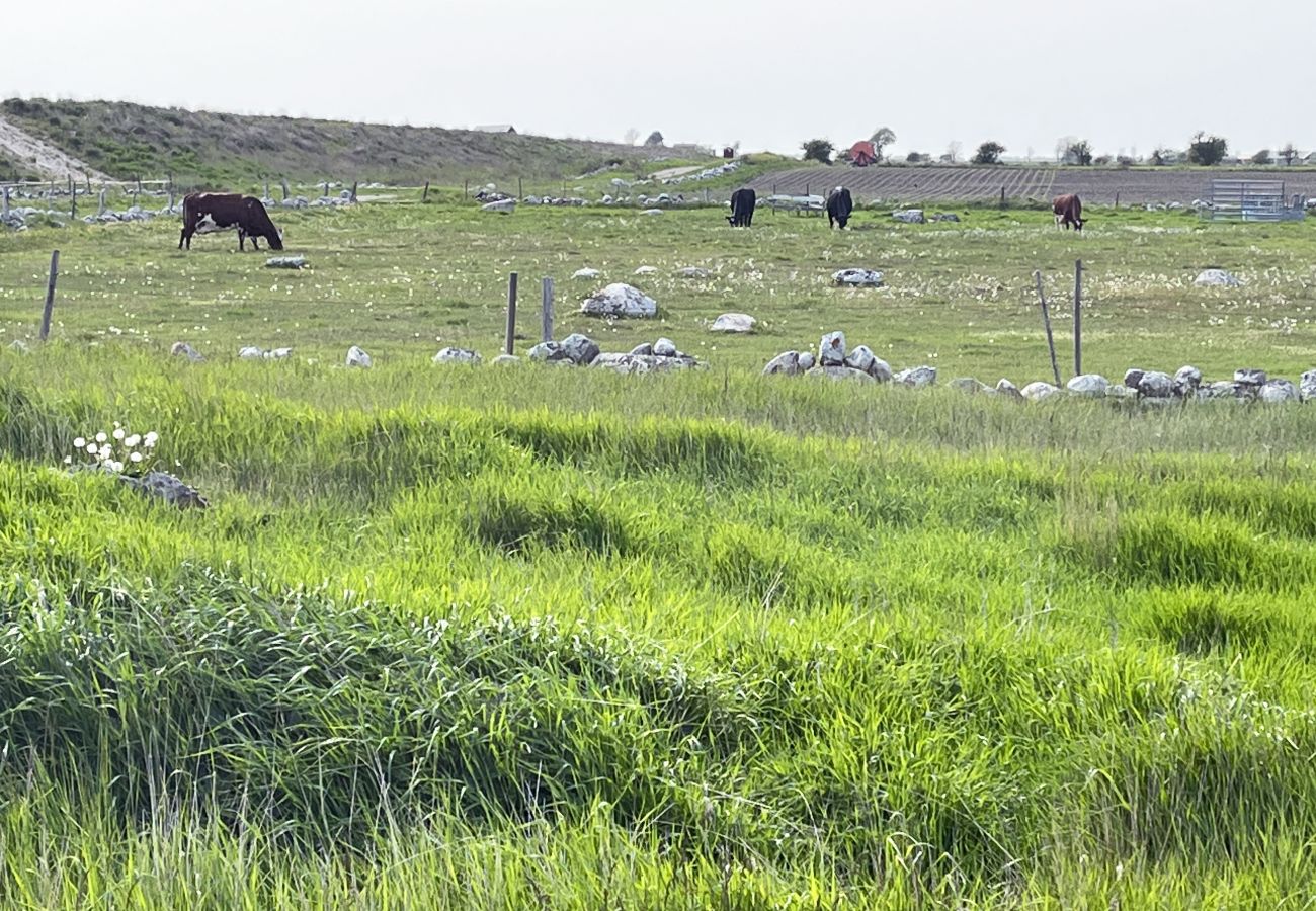 Ferienhaus in Mörbylånga - SE04035