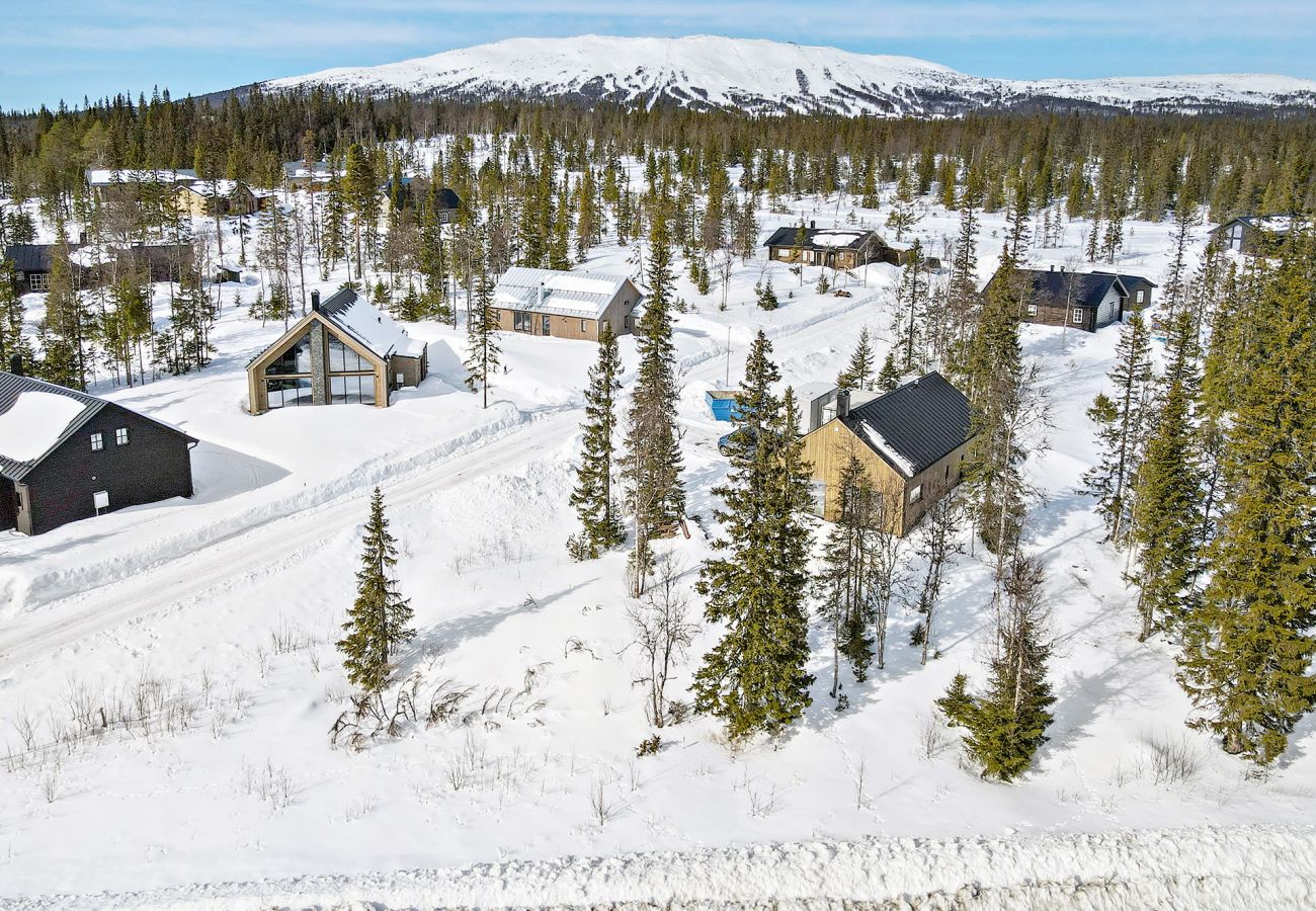 Ferienhaus in Undersåker - SE21005