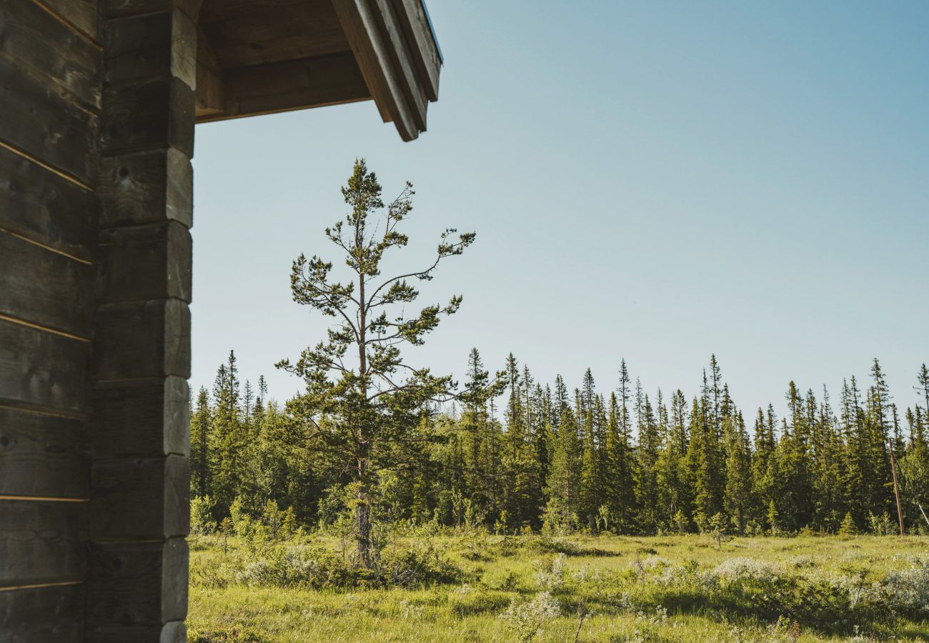 Ferienhaus in Undersåker - SE21005