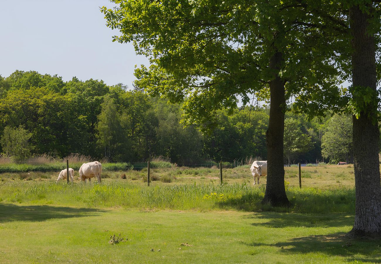 Ferienhaus in Ljungbyholm - SE05039