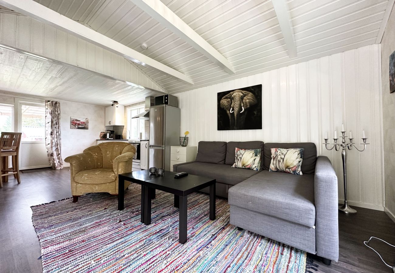 Ferienhaus in Timmersdala - SE08049