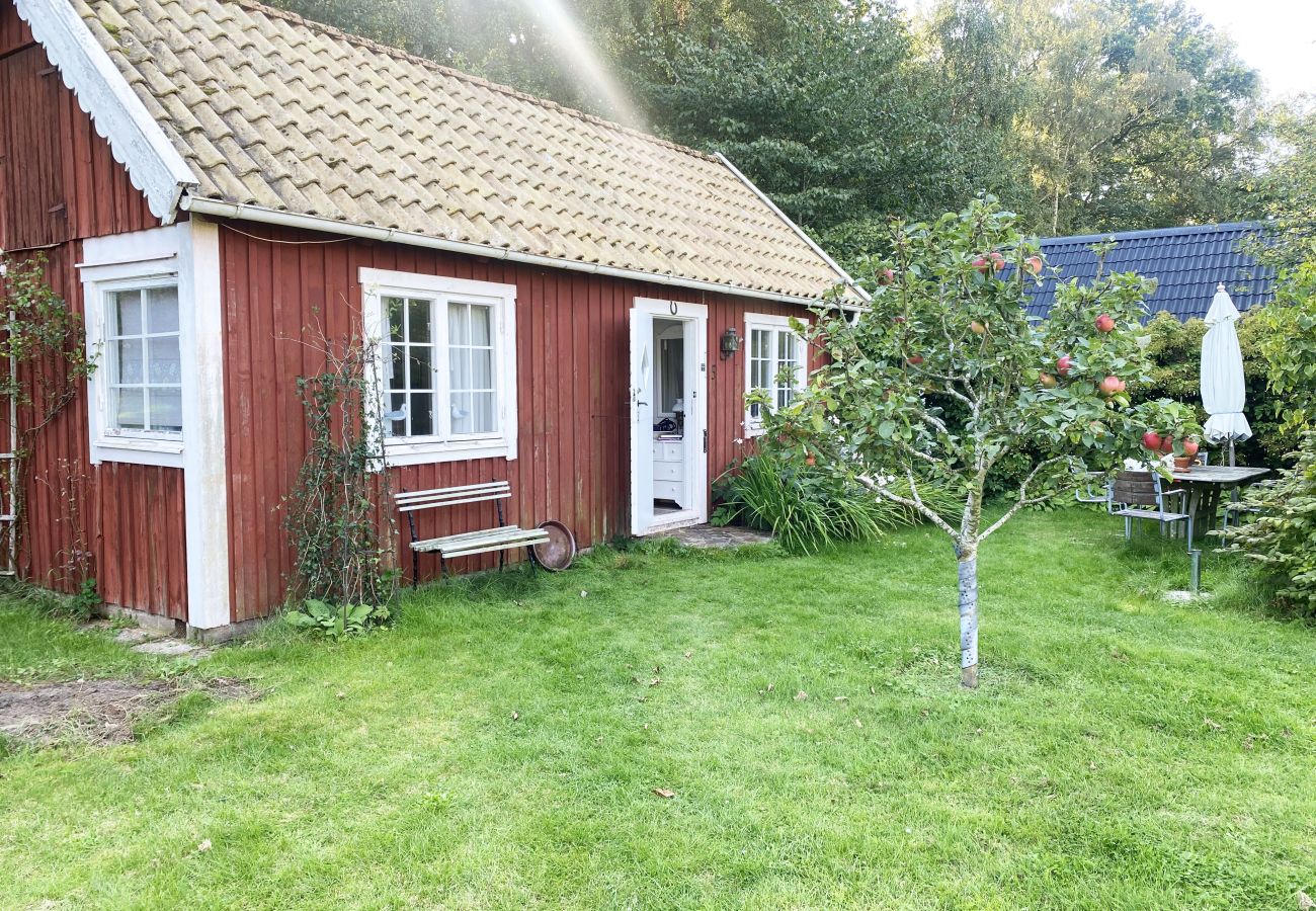 Studio in Vejbystrand - Gemütliches Ferienhaus in Vejbystrand in Strandnähe | SE01069