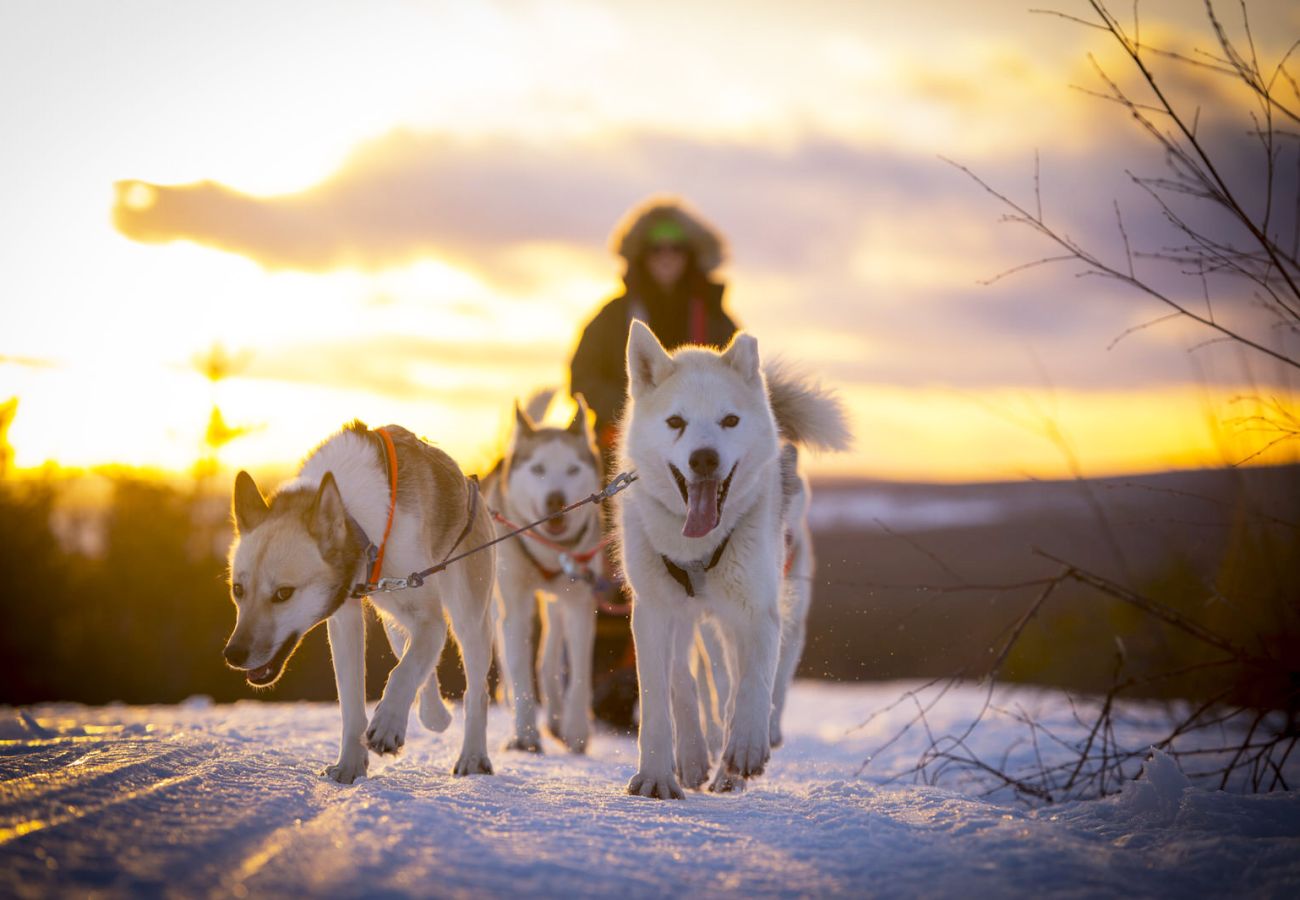 Ferienhaus in Idre - SE19021