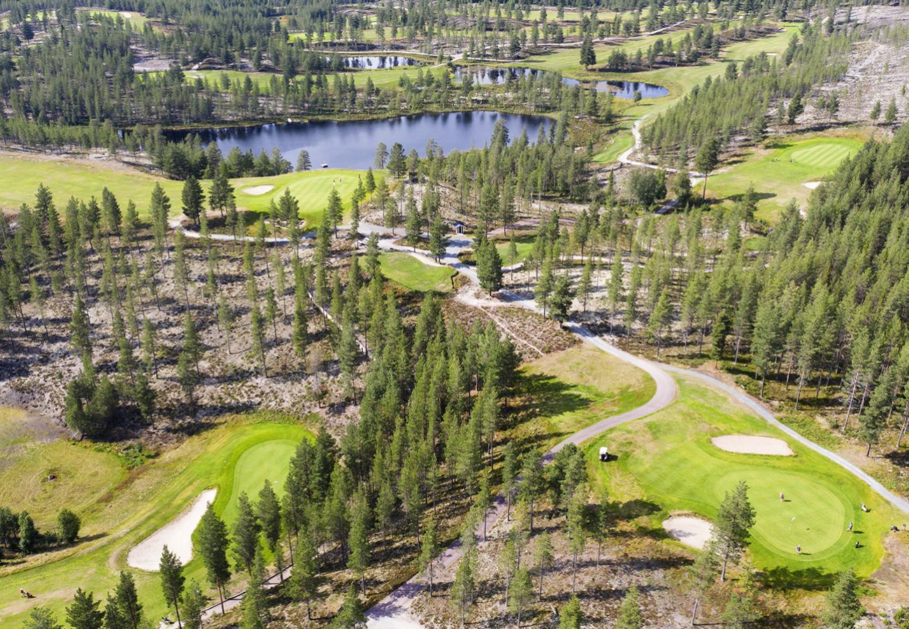 Ferienhaus in Idre - SE19021