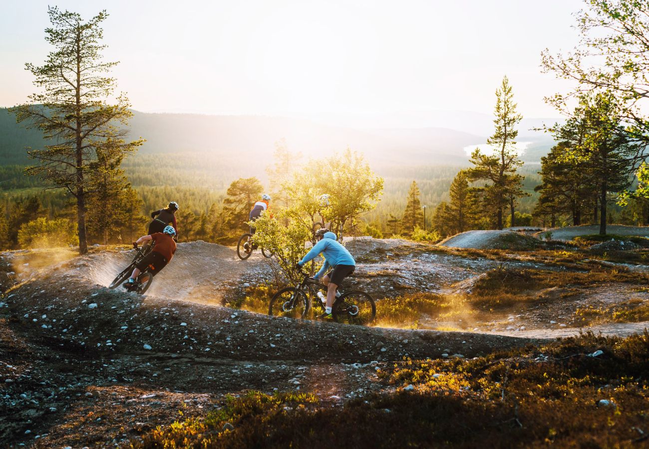Ferienhaus in Idre - SE19021