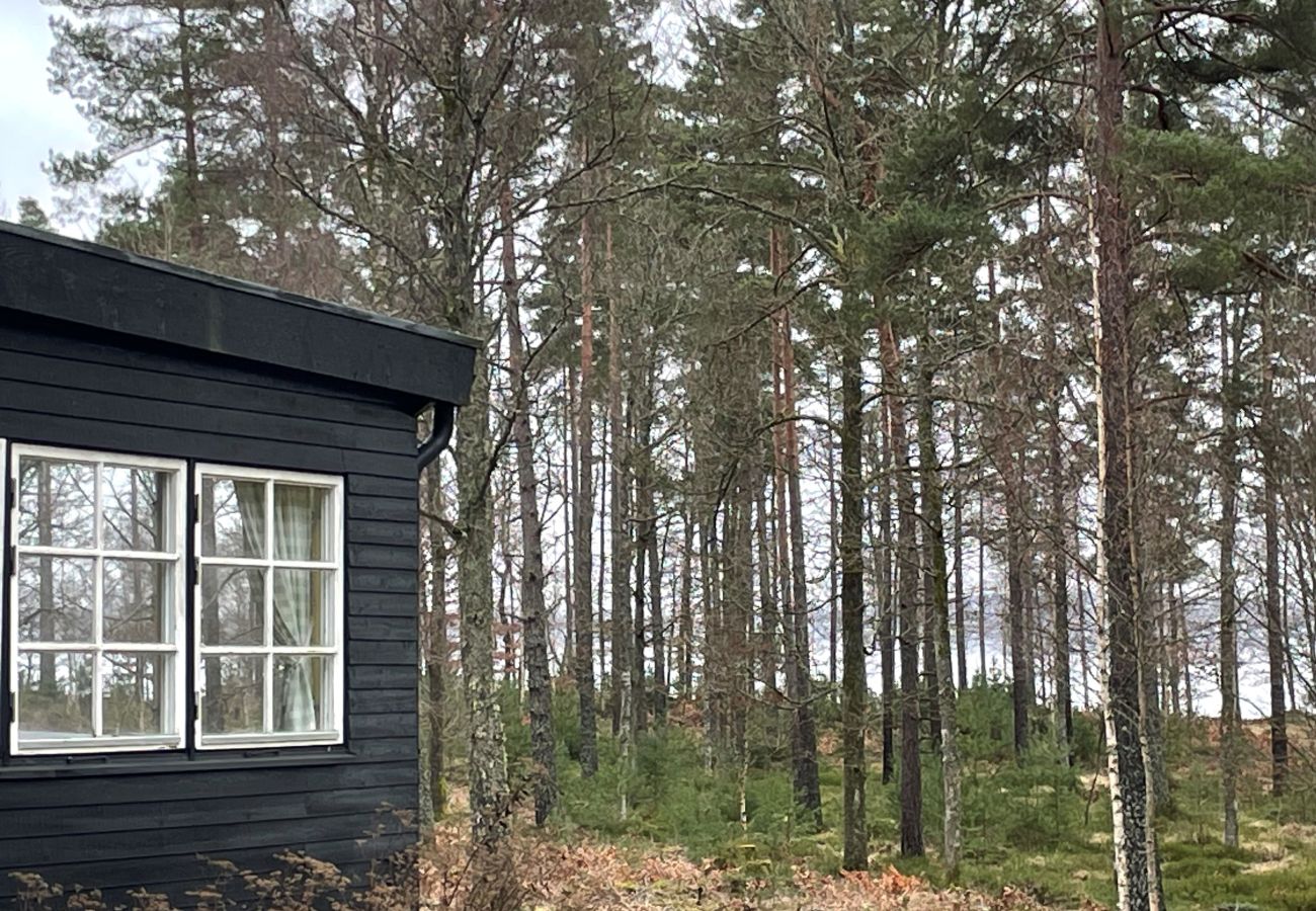 Ferienhaus in Lidhult - SE06064