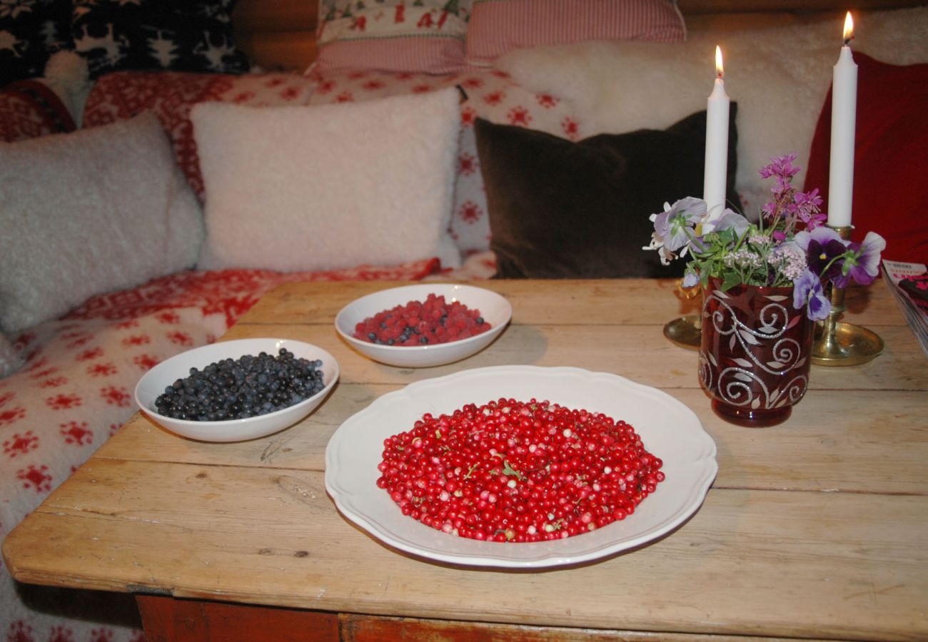 Ferienhaus in Ljungskile - SE09056