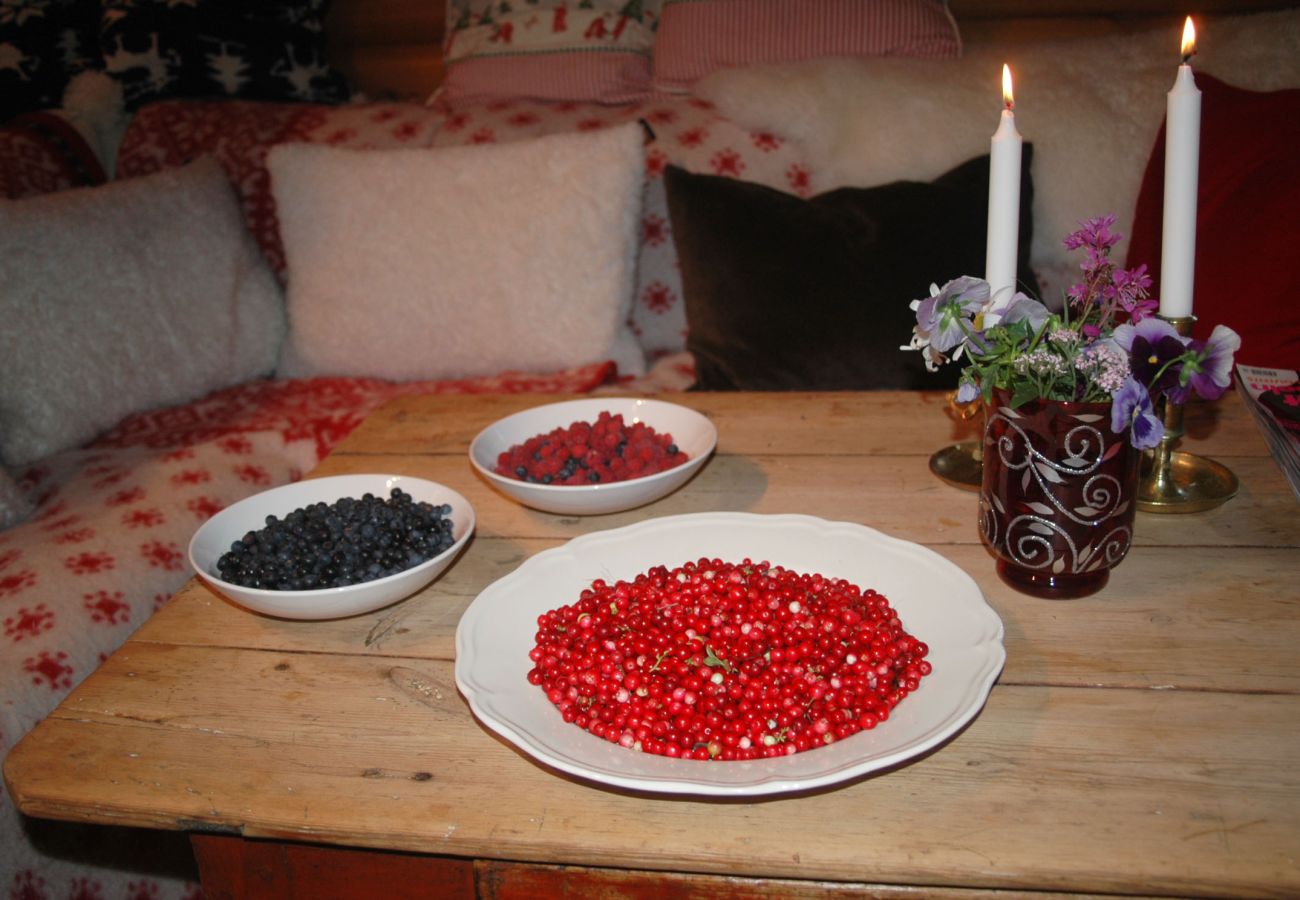 Ferienhaus in Varekil - SE09063