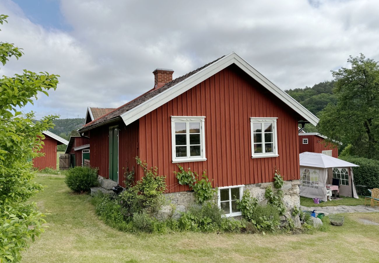 Ferienhaus in Varekil - SE09063