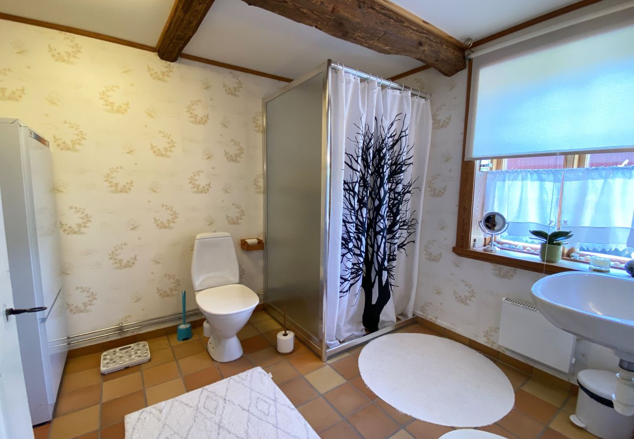 Ferienhaus in Broby - SE01067