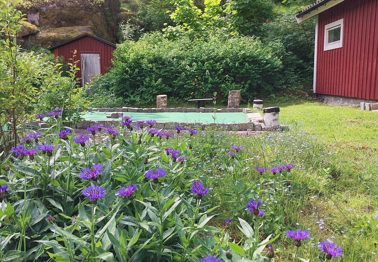 Ferienhaus in Mjölby - SE10021