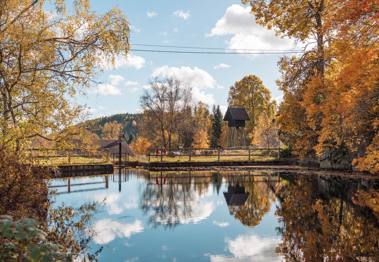 Ferienhaus in Marieholmsbruk - SE06078
