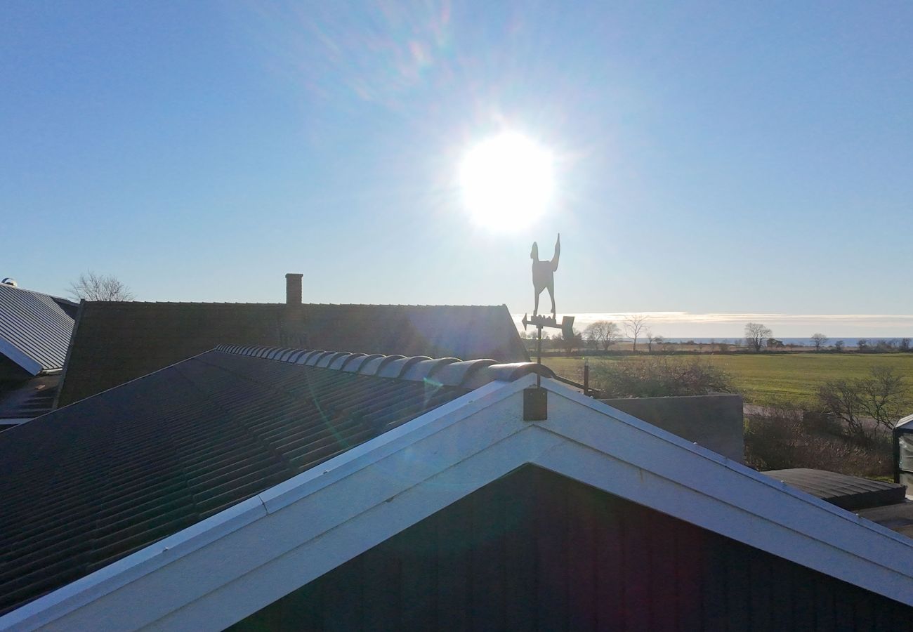 Ferienhaus in Mörbylånga - SE04054
