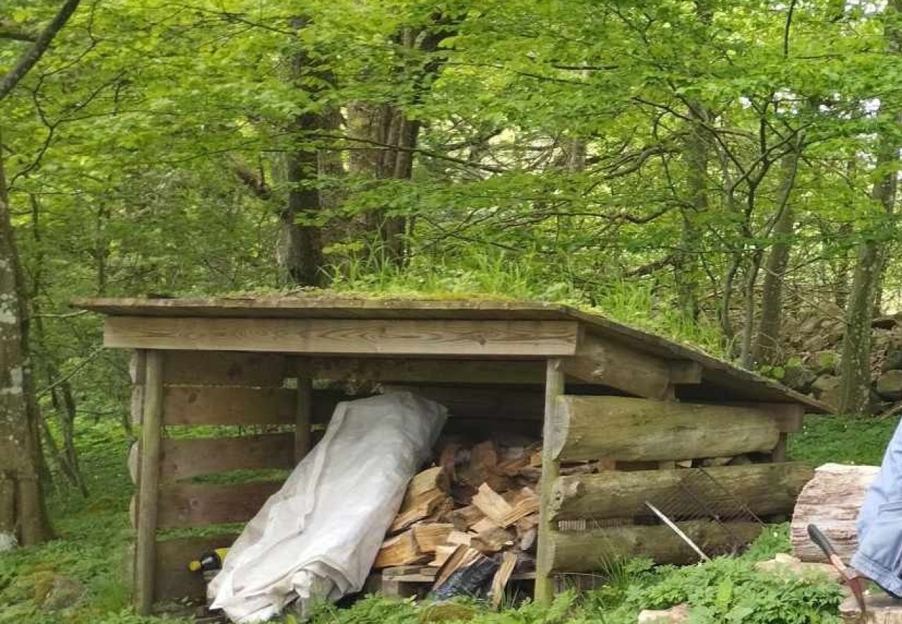 Blockhütte in Billesholm - SE01077