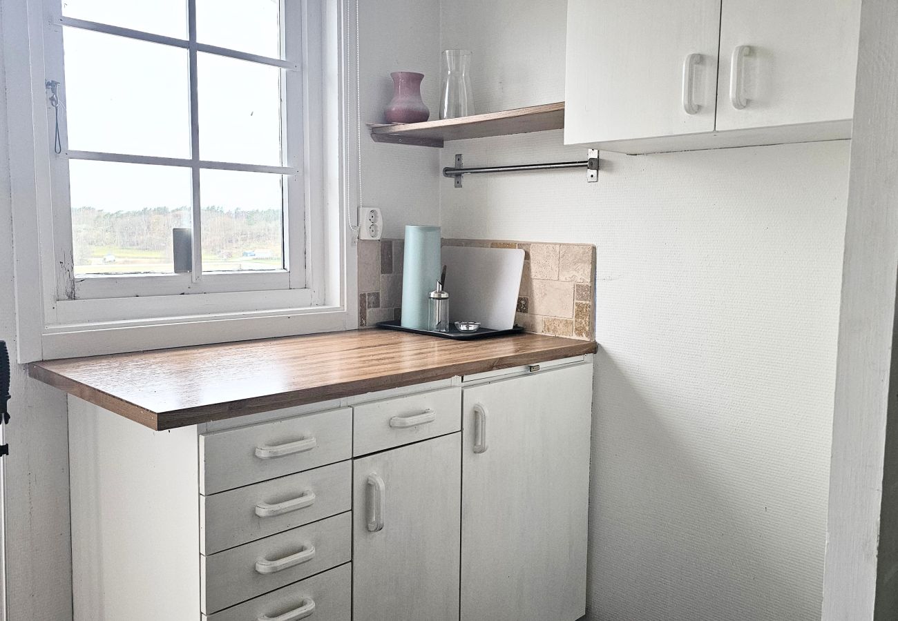 Ferienhaus in Ellös - SE09105