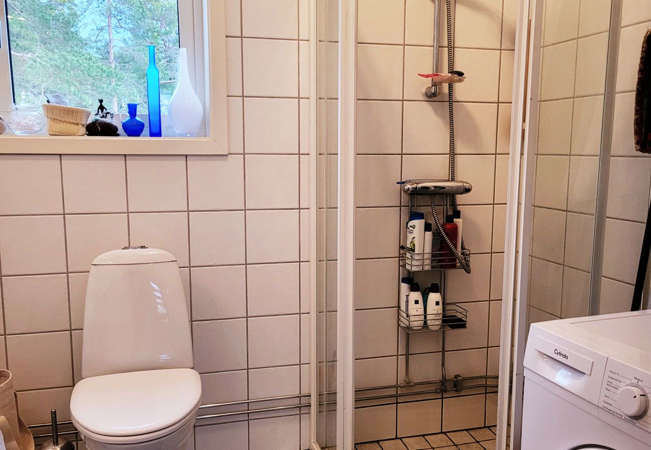 Ferienhaus in Lärbro - SE12055