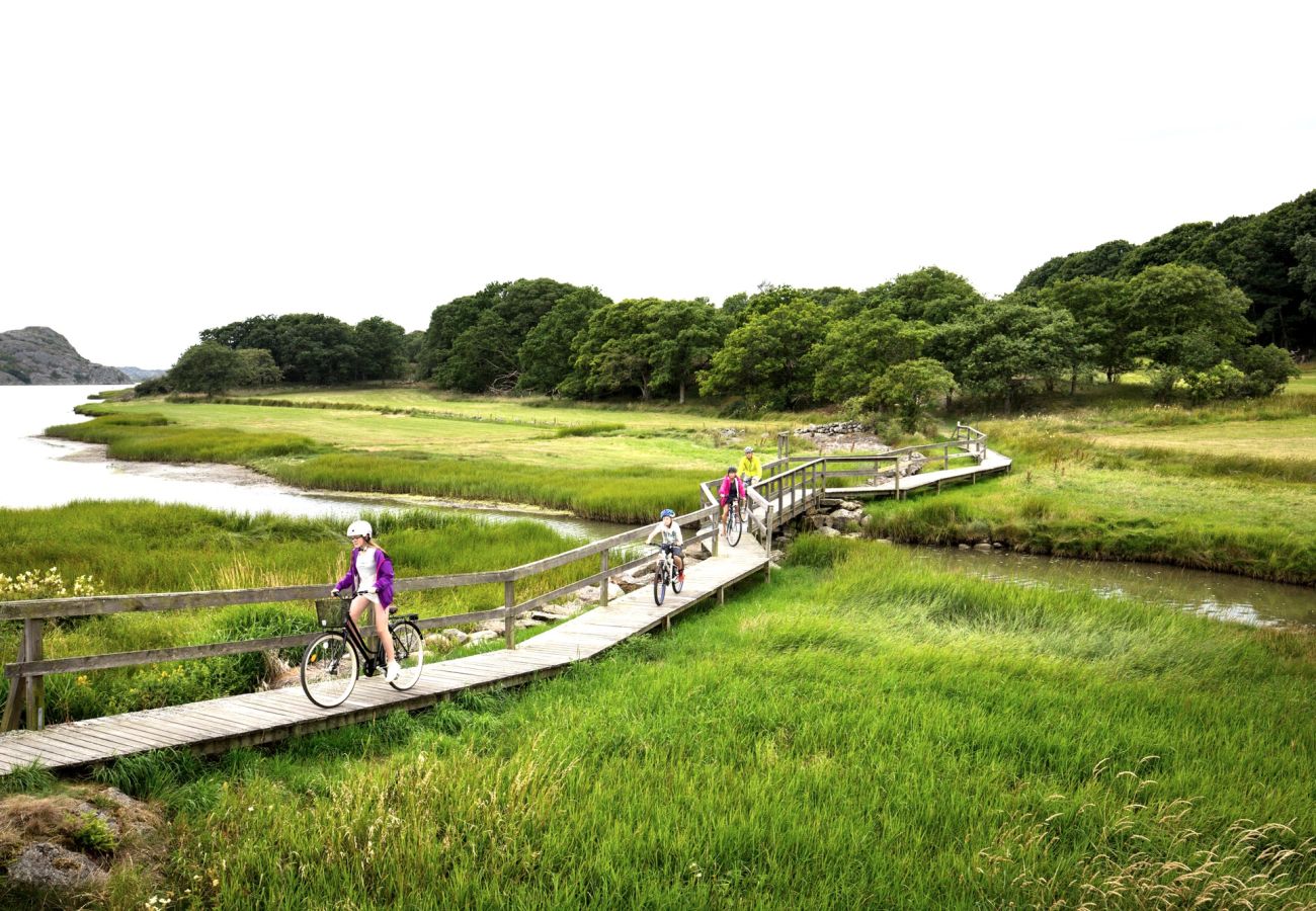 Ferienhaus in Skärhamn - SE09107