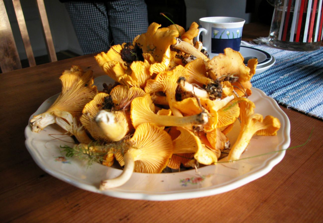 Ferienhaus in Mellerud - SE17015