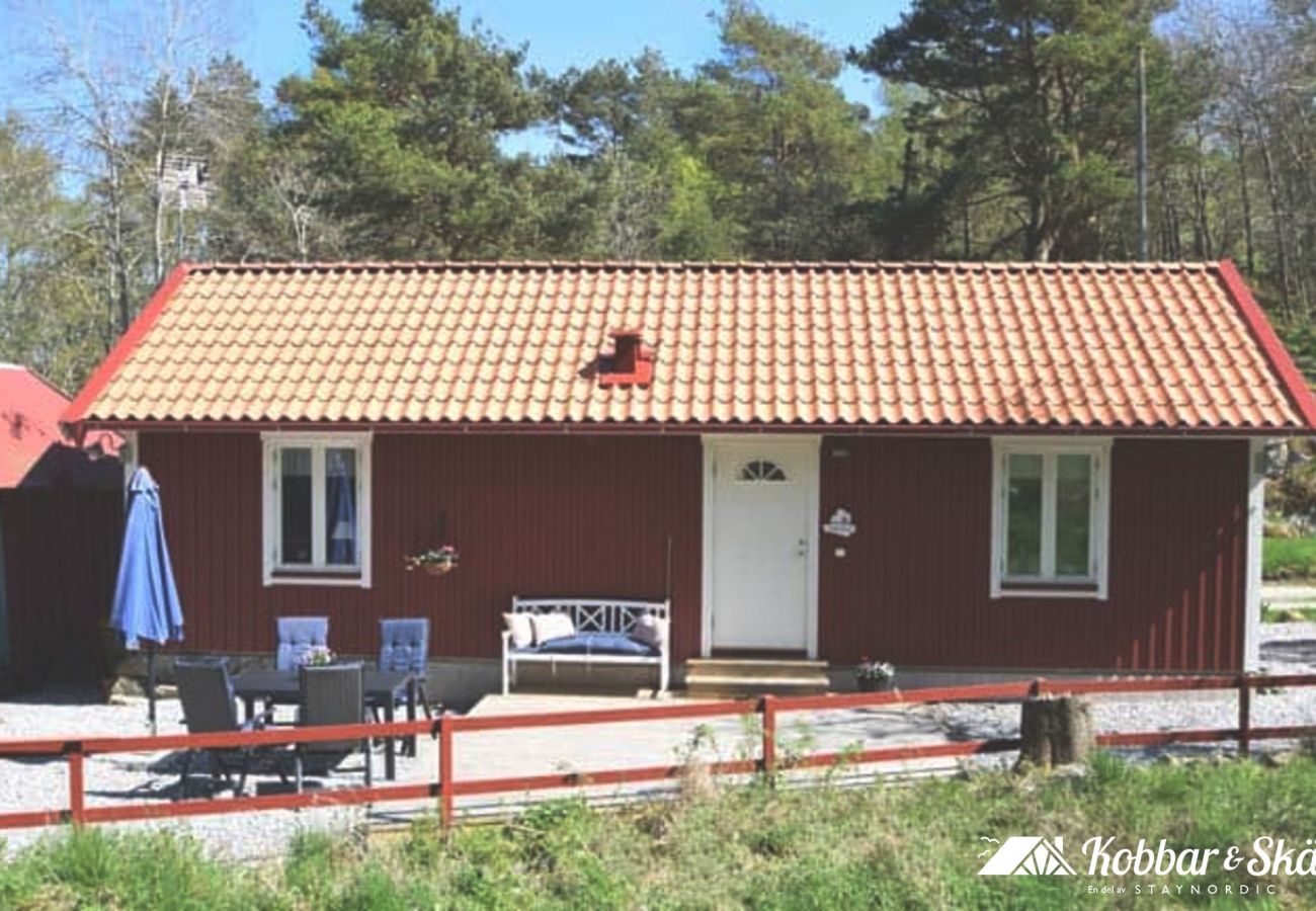 Ferienhaus in Fagerfjäll - SE09118