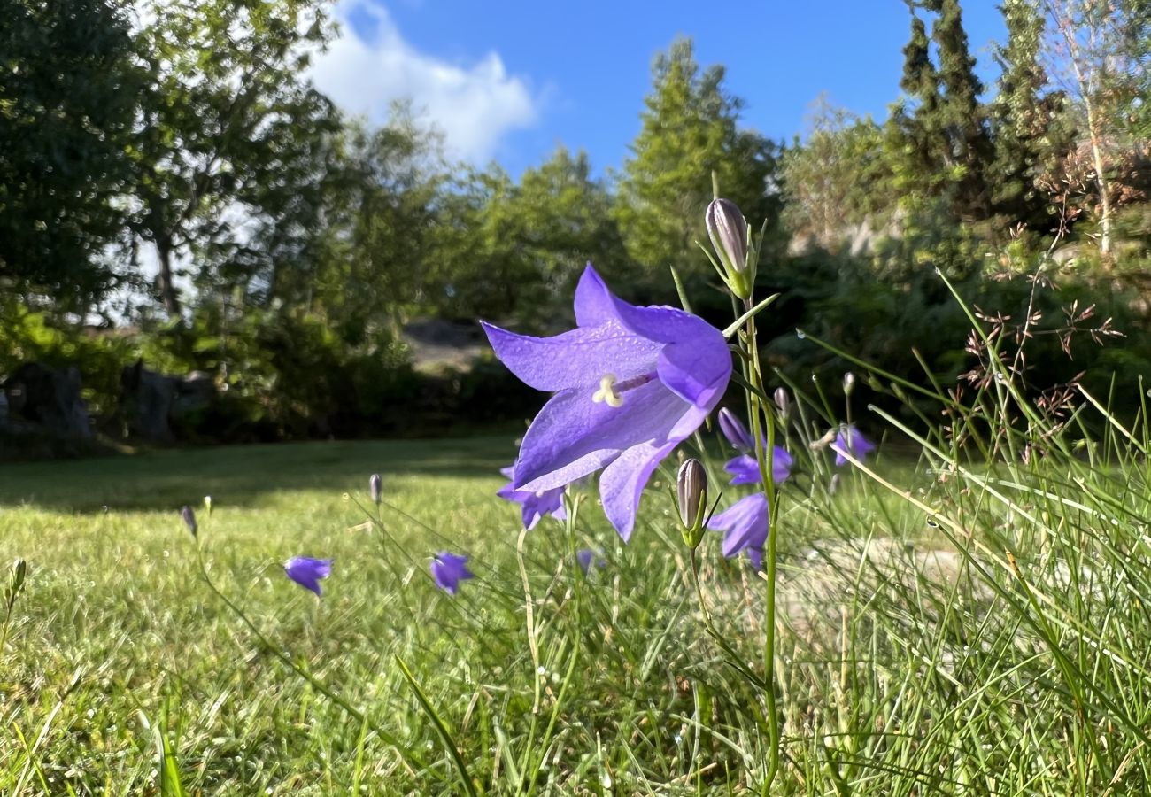 Ferienhaus in Hjälteby - SE09124