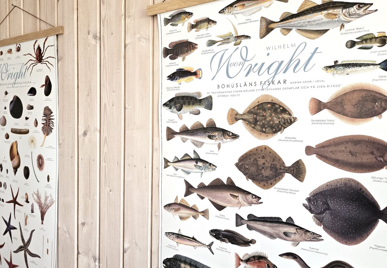 Ferienhaus in Hälleviksstrand - SE09132