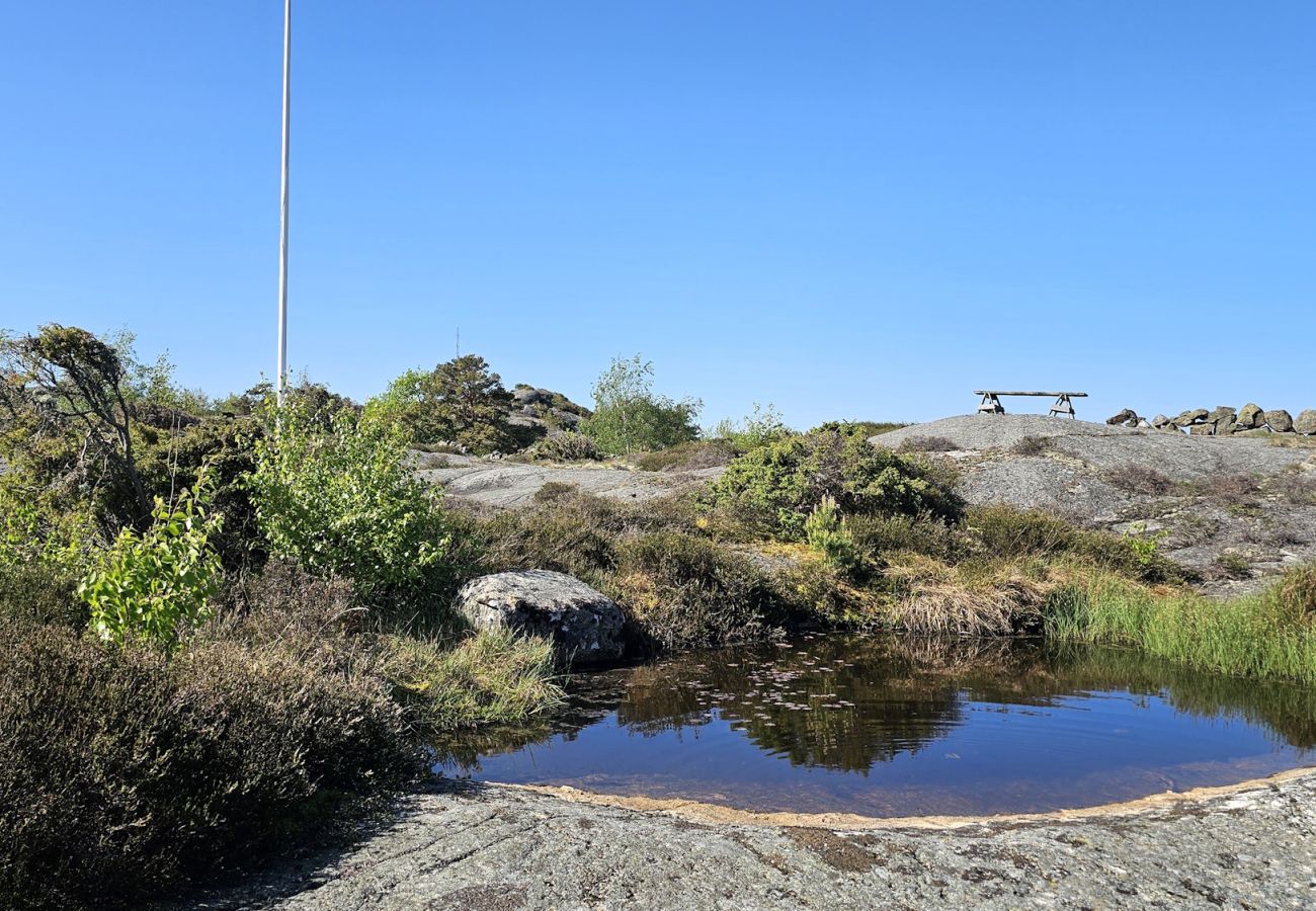 Ferienhaus in Hälleviksstrand - SE09132