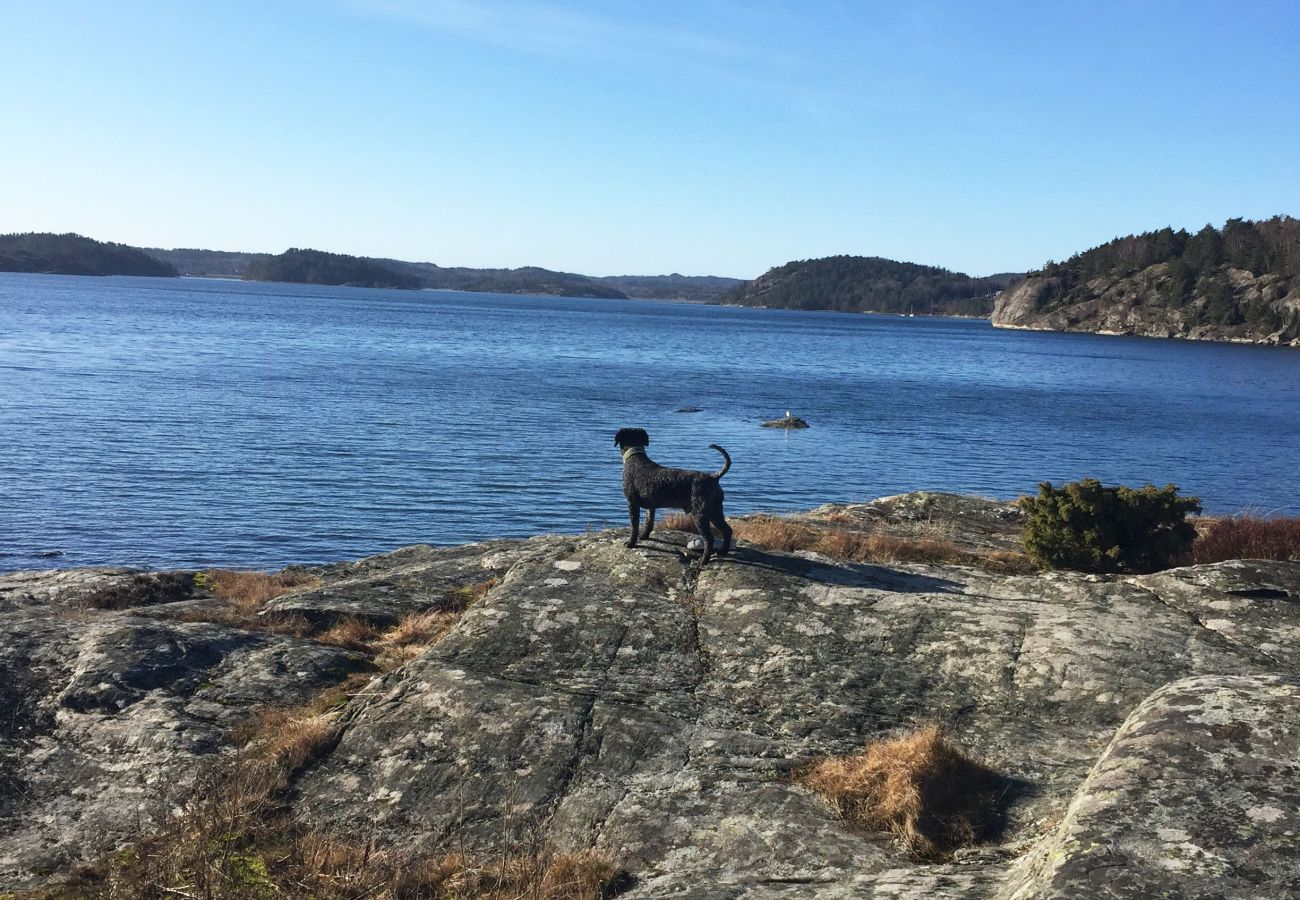 Ferienhaus in Varekil - SE09135