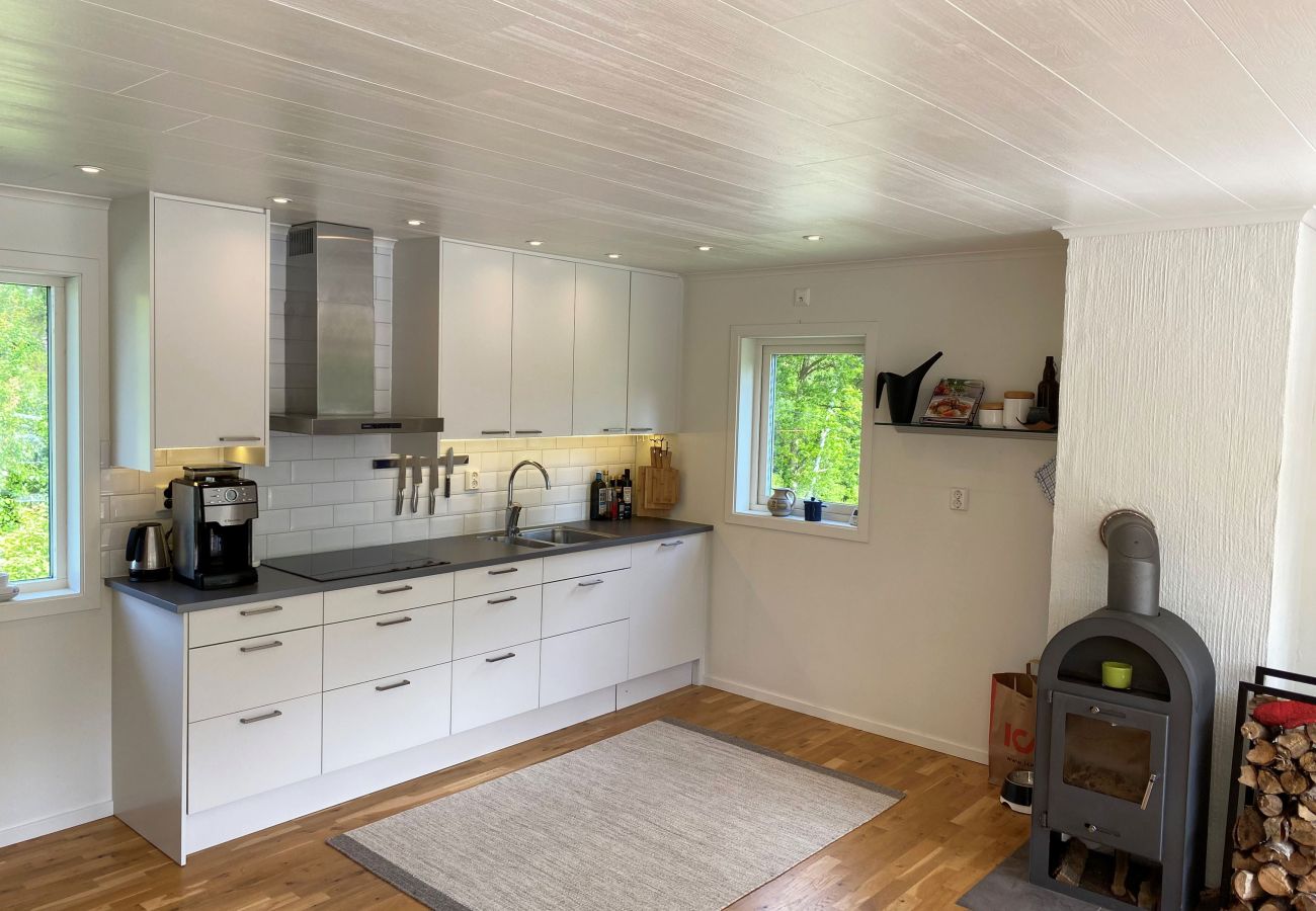 Ferienhaus in Varekil - SE09135