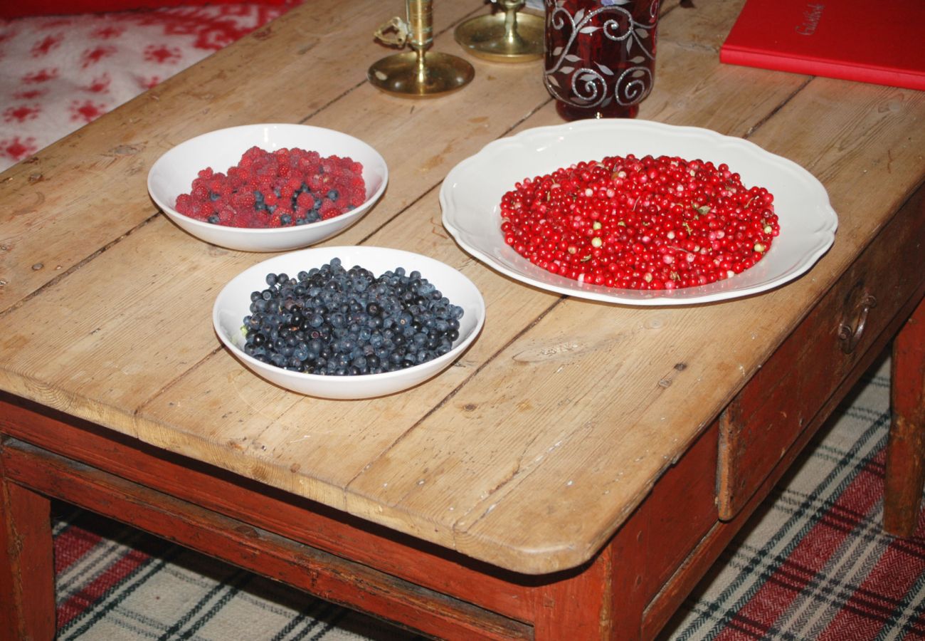 Ferienhaus in Borås - SE08058