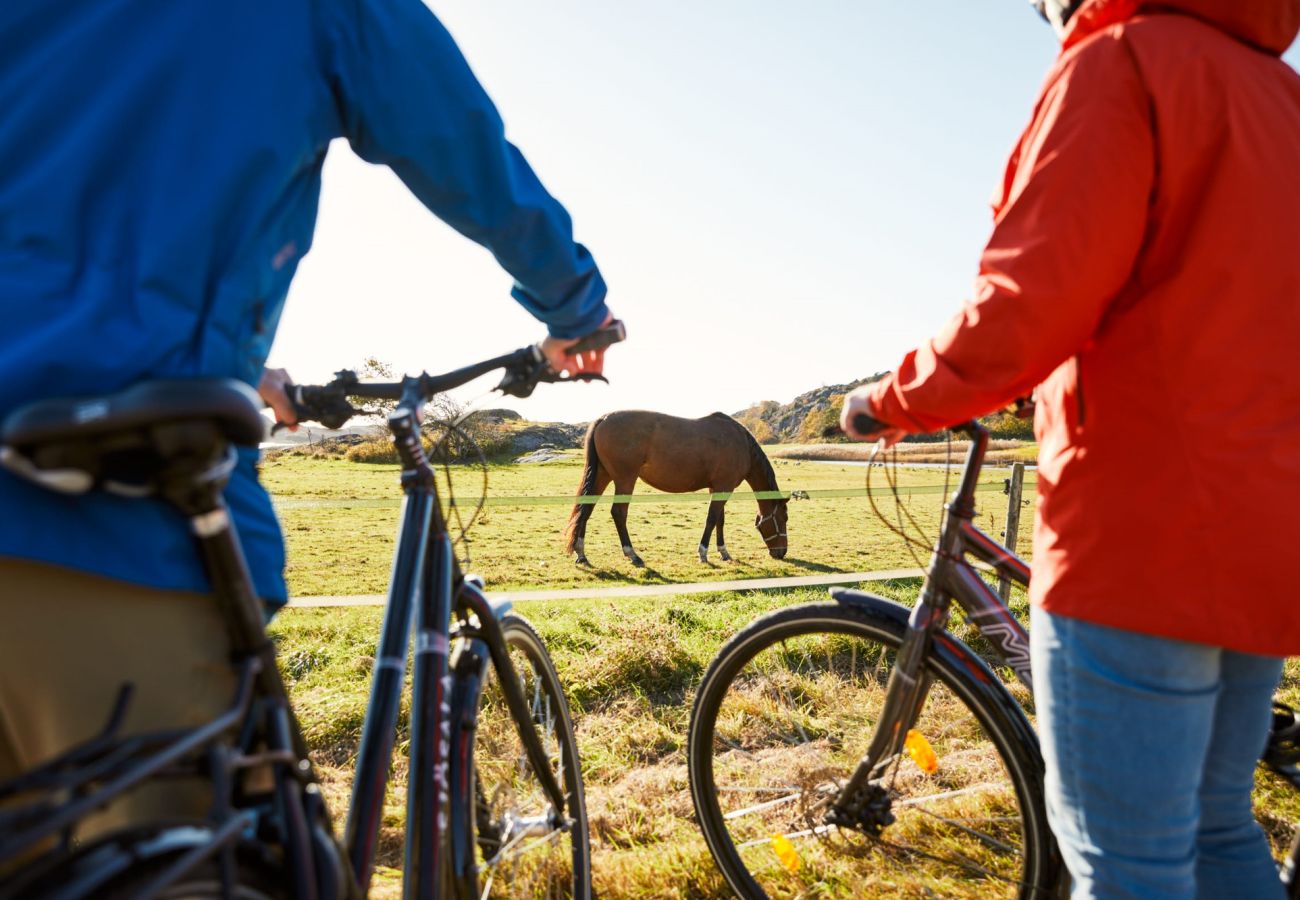 Ferienhaus in Varekil - SE09115