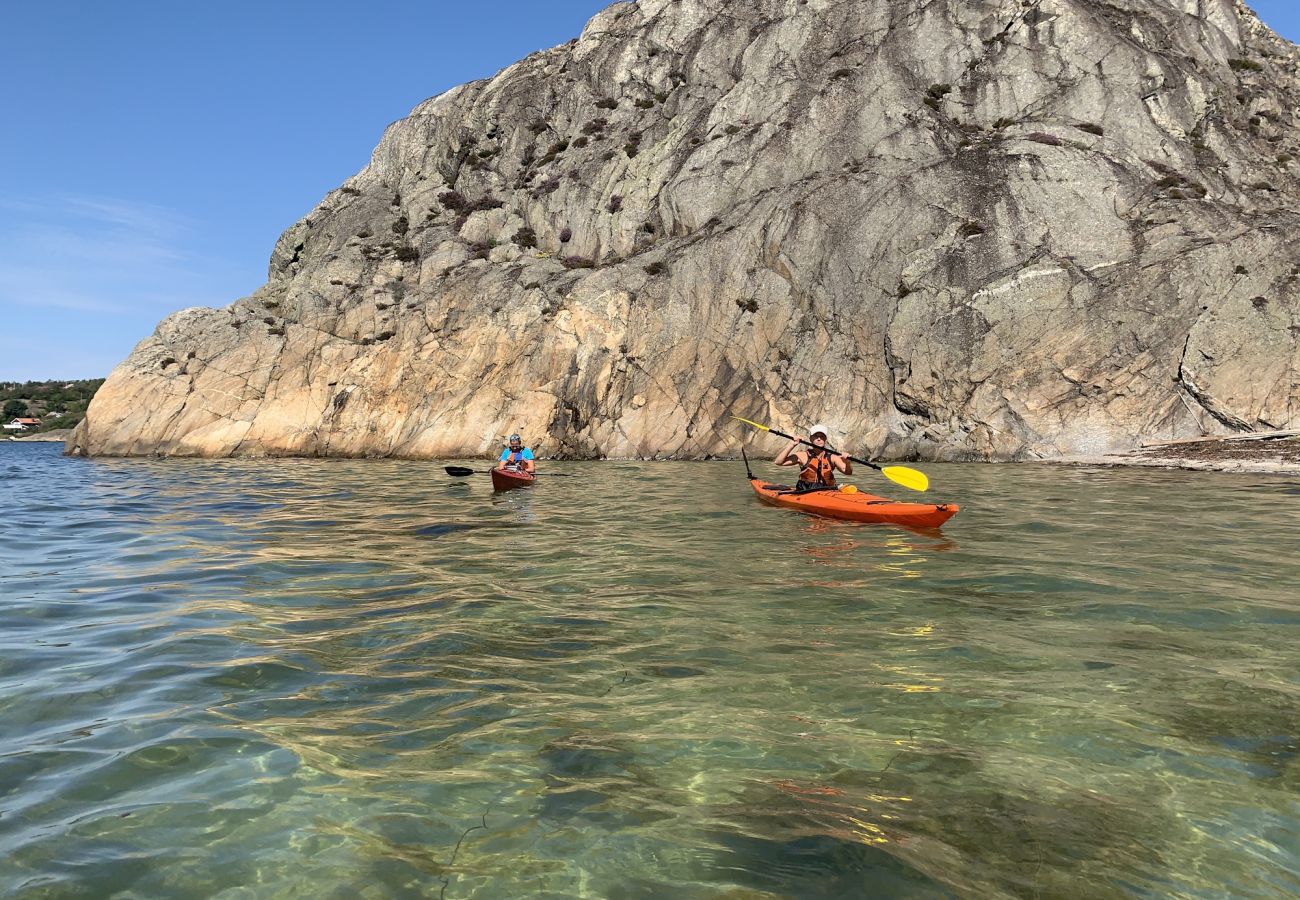 Ferienhaus in Ellös - SE09113