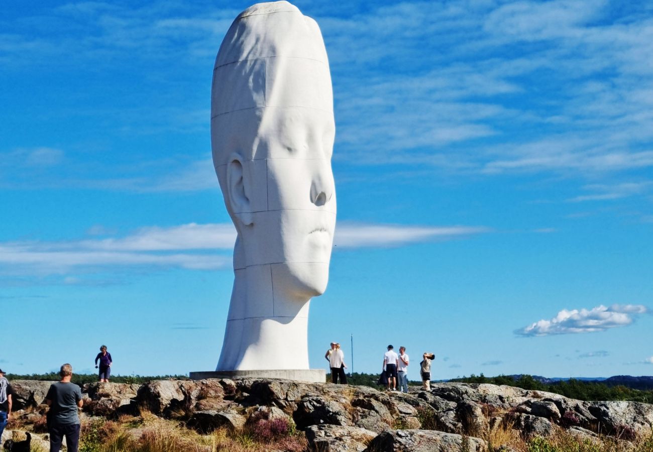 Ferienhaus in Höviksnäs - SE09112