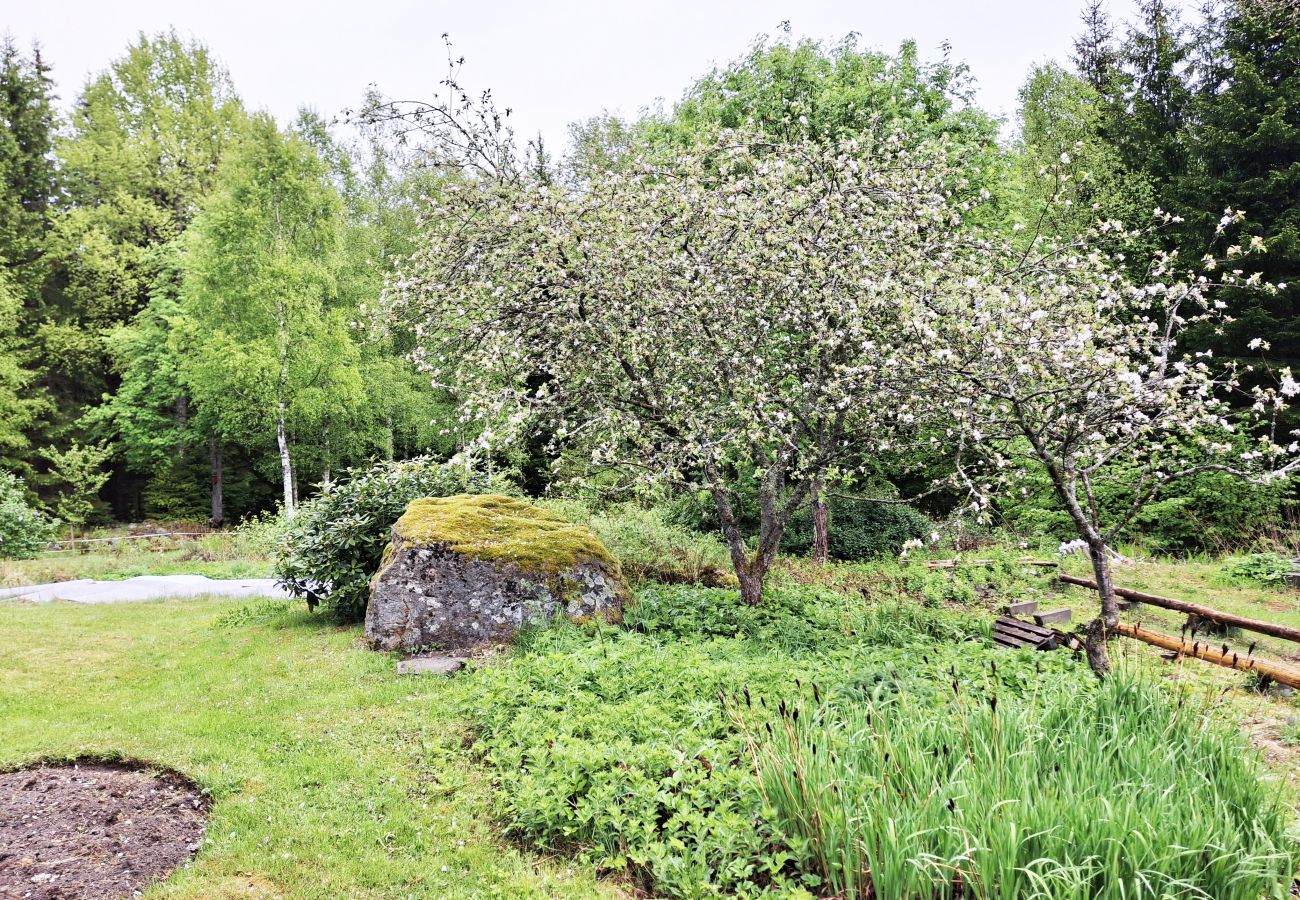 Ferienhaus in Lönsboda - SE01078