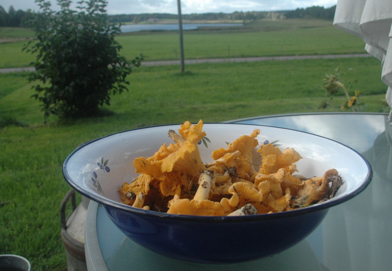 Ferienhaus in Skillingsfors - SE18031