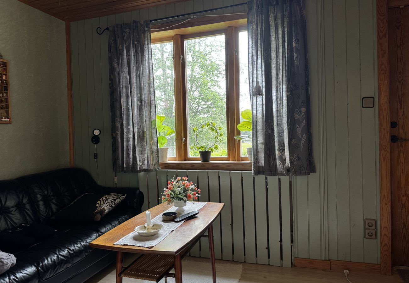 Ferienhaus in Skillingsfors - SE18031